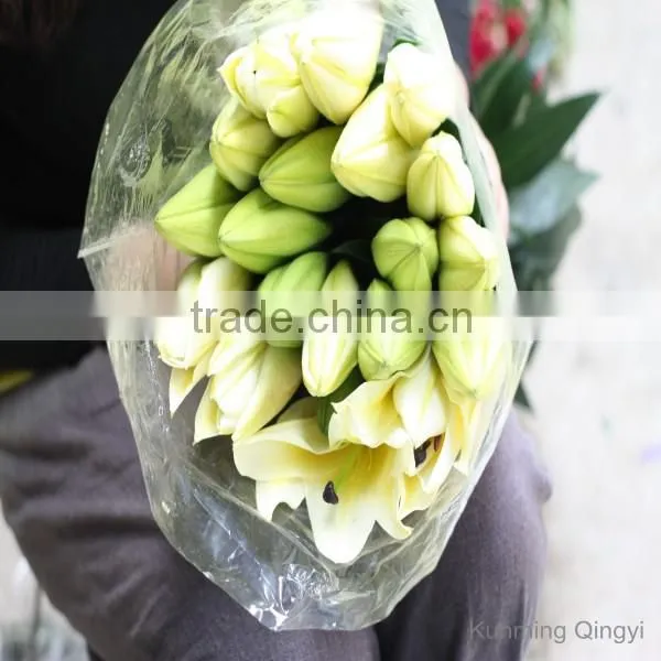 China Supplier High Grade Natural Beautiful Lily Flower photo-3