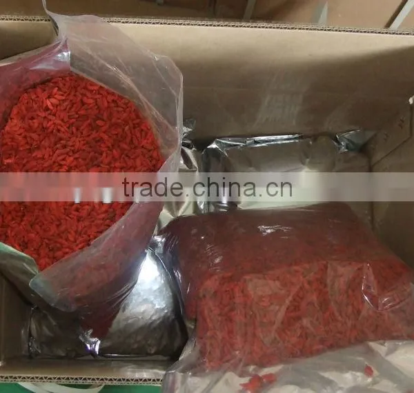 Organic Certified Gojiberry in Our Own Company-owned Goji Farm photo-5