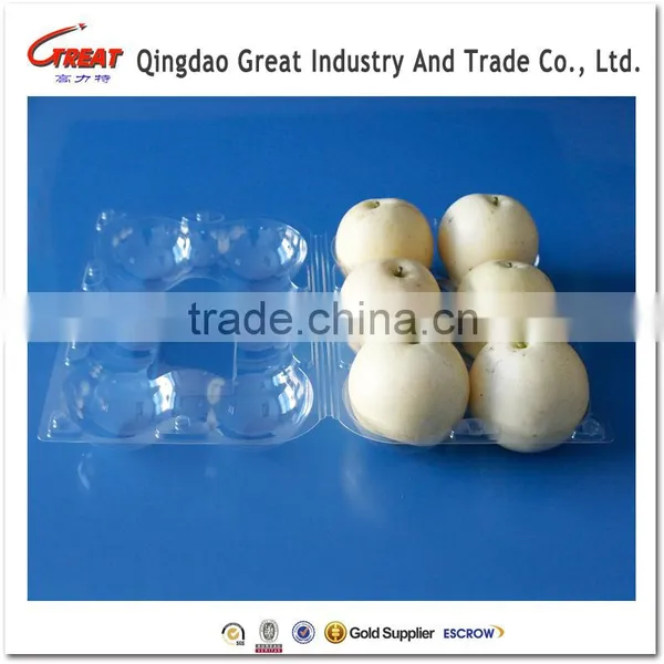Clear Plastic Kiwi Fruit Packaging Plastic Box PET Plastic Packing Container photo-6