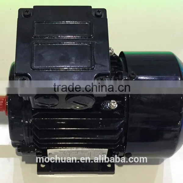 220v Electric ac 0.75kw Motor Water Small Motor Pump, Magnet Motor photo-3
