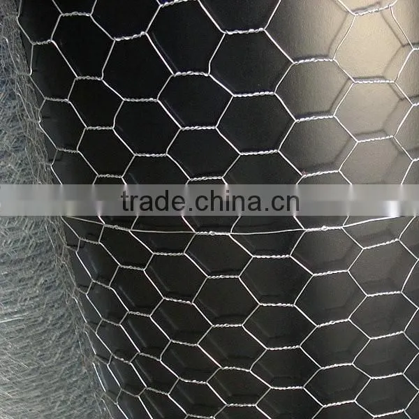 Best Quality Bird Cage Chicken Wire Mesh photo-2