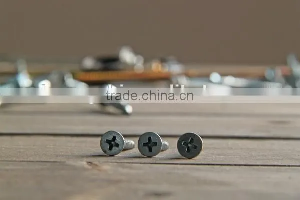 Flat Head Self Drilling Screw Stainless Steel photo-5