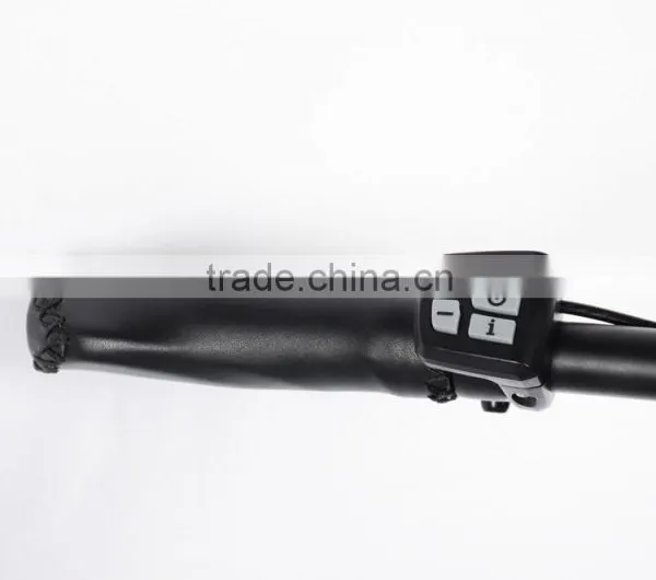 e Bike Max Drive ( HJ-15C02 ) photo-5
