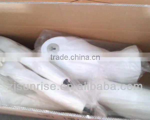 Hot Sale Fashion and Decent Plastic Mannequin Without Head