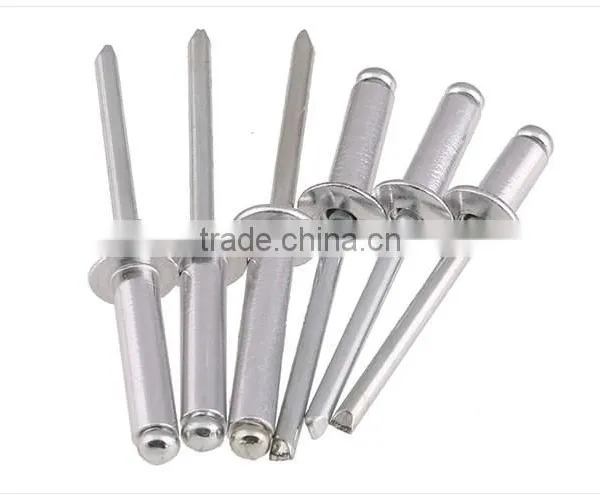 Rivet/blind Rivet/stainless Steel Blind Rivet photo-4