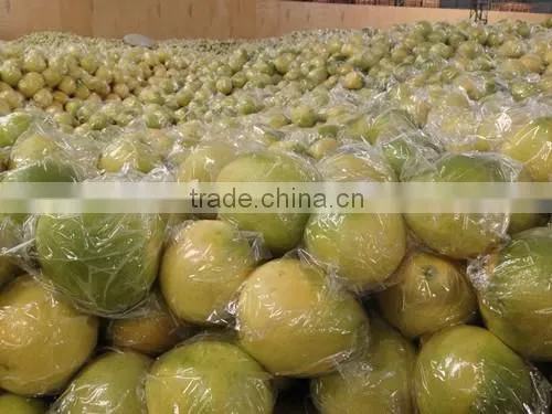 Late Honey Pomelo photo-5
