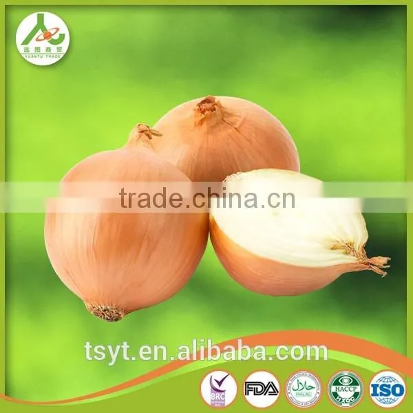 Fresh Red Onion Yellow Onions photo-6