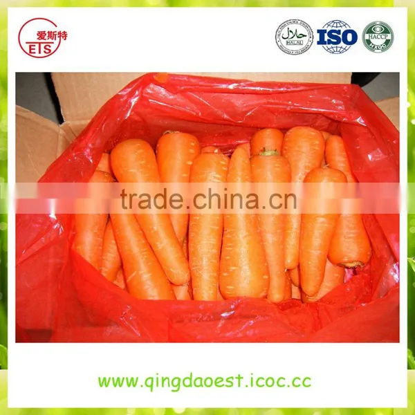 High Quality Fresh 2016 New Carrot photo-3