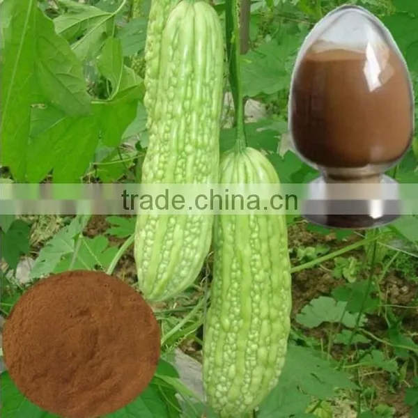 GMP Natural High Quality Bitter Melon Extract Powder/Charantin photo-2