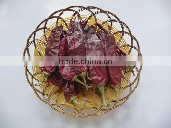 Chinese Manufacturer Supplier A Grade ISO, HACCP, HALAL Certification 80-240 Asta Hot Selling Red Sweet Pepper Chilli photo-3