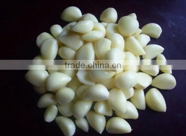 Frozen Garlic photo-5
