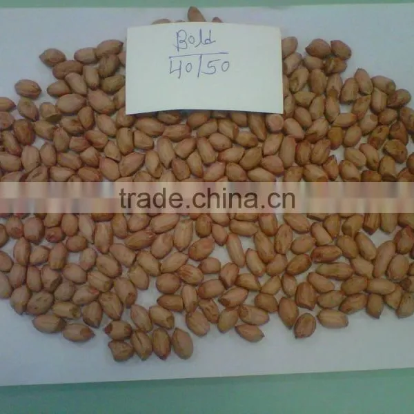 Peanut Kernal photo-3