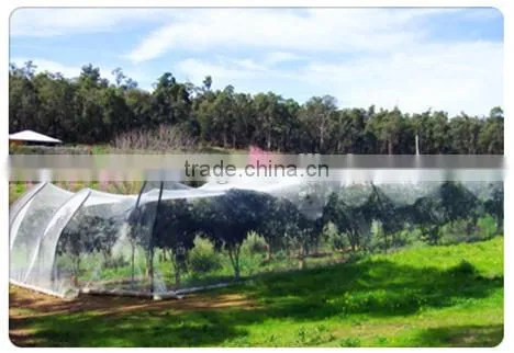 Bird Repellent Netting