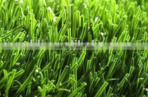 Artificial Grass