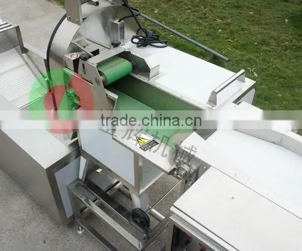 Manufactory Produce Vegetable Cutting Production Line Vegetable Washing Machine photo-4