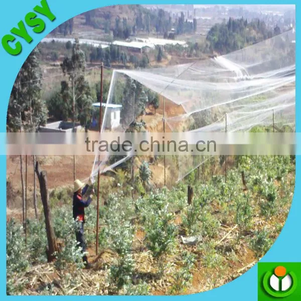 Wholesale HDPE Plastic Bird Net / Bird Trapping Net /plastic Tree Protection Mesh photo-3