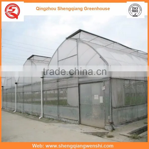 Agriculture Equipment Multi-span 6.0m Plastic PE Film Agriculture Greenhouse for Sale photo-4