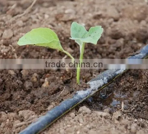 Drip Irrigation PE Pipe photo-3