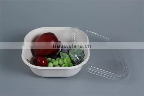 Thermofoamed Fiber Biodegradable Compostable Sugarcane Food Containers/boxes With Lids photo-3