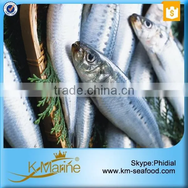 Frozen Wholesale Sardines Seafood Fish photo-5