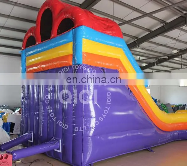Commercial Grade Giant Inflatable Water Slide Inflatable Adult Double Lane Slide for Sale photo-5