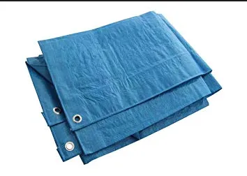 Blue Tarpaulin Mildew Proof Waterproof Canvas Tarp photo-2
