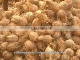 Fresh Coconut Sellers