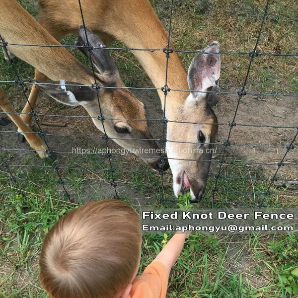 Farm Fence Field Fence Goat Cattle Deer Stock Fencing Grassland Hinge Joint Fixed Knot Fence High Tensile Strenght photo-4