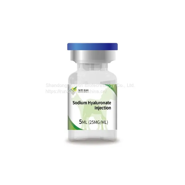 Sodium Hyaluronate/HA FILLER