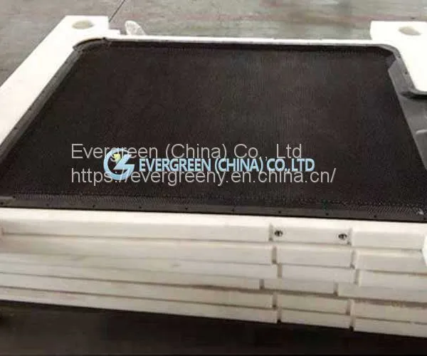 Chemical Industry Membrane Filter Plates photo-2