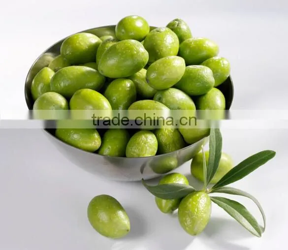 Commercial Red Date Washing Machine|Automatic Olive Cleaning Machine photo-6