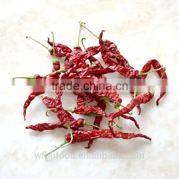 Dry Red Chili for Sale photo-4
