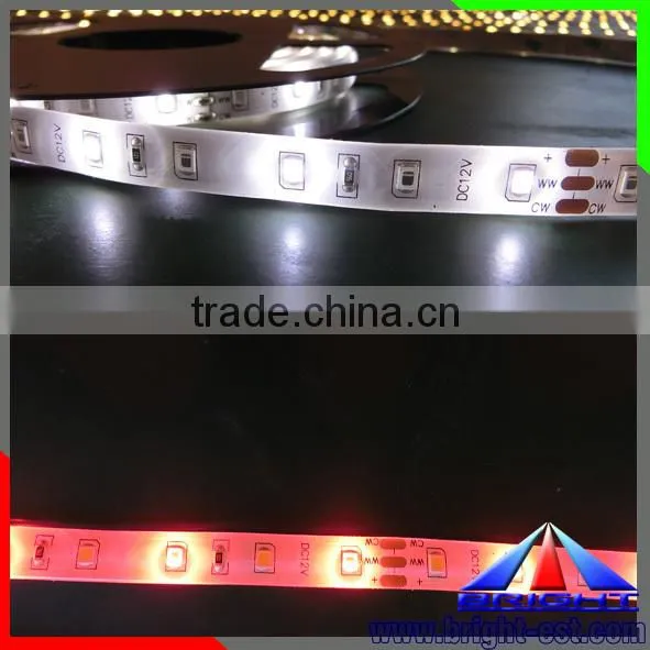High Quality Pink Color 12V LED Strip Lights Waterproof SMD 2835 LED Strip photo-4