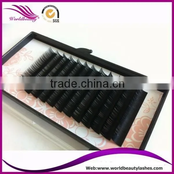 Top Quality Wholesale Price Eyelash Extension photo-4