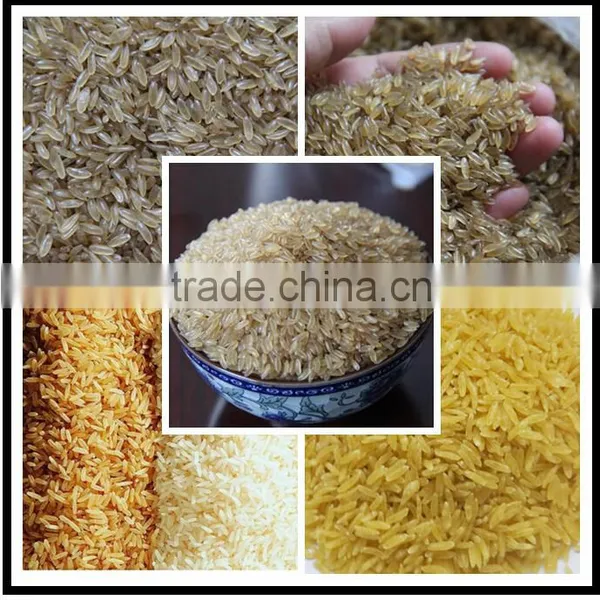 High Effciency and Energy Saving Nutritional Rice Processing Line/equipment photo-3