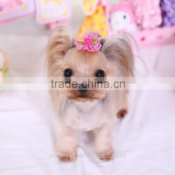 Pet Apparel & Accessories Type 2016 New Dog Apparel Cute Beauty Pet Accessories photo-2