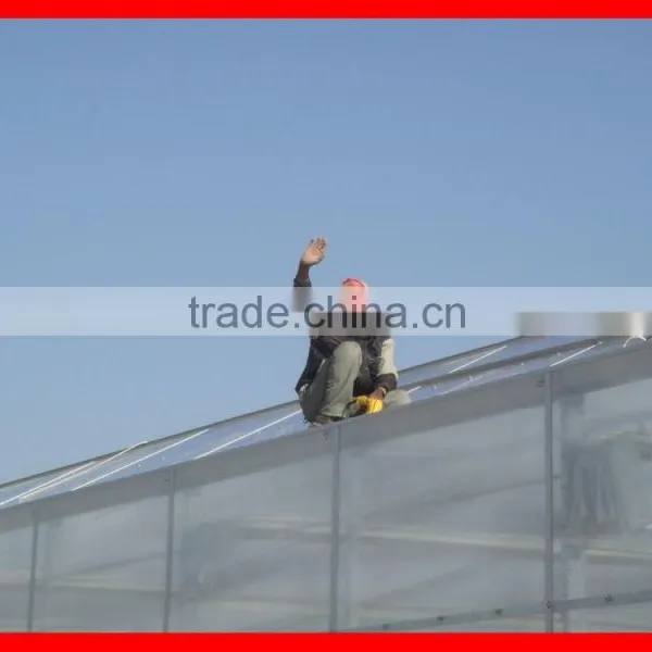 Export to Kuwait Polycarbonate Greenhouse