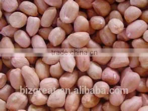 Supplying Raw Bulk Peanut Kernele Baisha Type for Sales photo-3