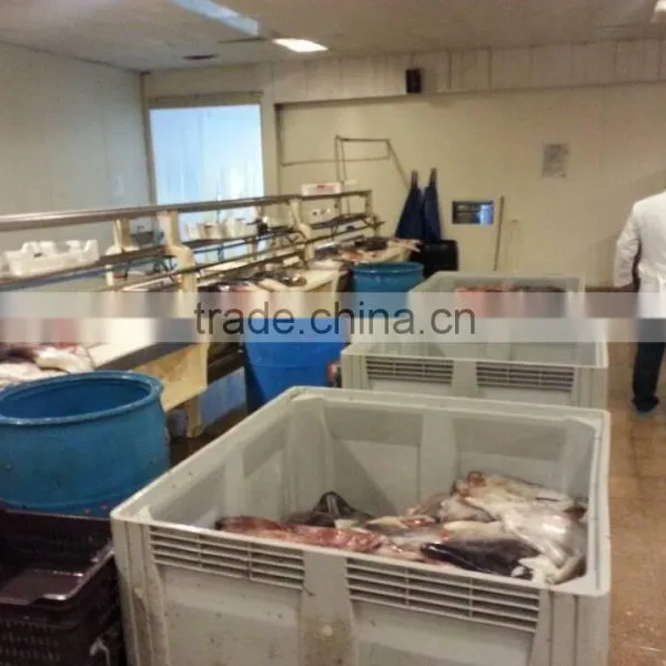 South American Market Big Squid or Seafood Processing Line for Fish Shrimp,crab,squid,Octopus,Cuttlefish Cutting Machine Table