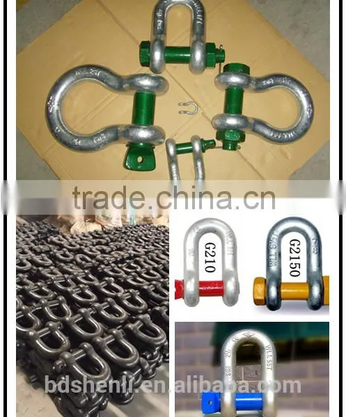 High Quality Square Head D Shackle photo-4