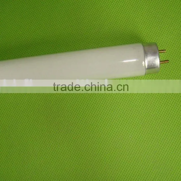 T4/T5/T6/T8/T9/T10/T12 Tube Light photo-3