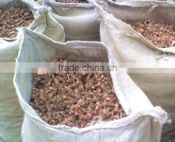 Guangdong Natural Galangal Roots photo-4