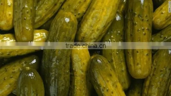 Viet Nam Pickled Cucumber in Jar photo-2