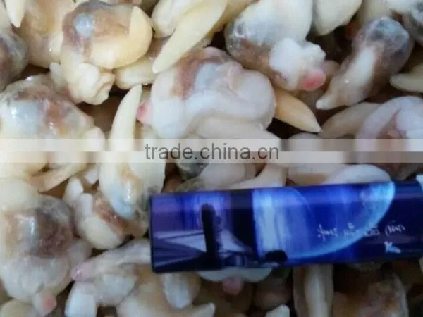 Frozen Boiled Surf Clam Meat With Stomach Removed photo-5