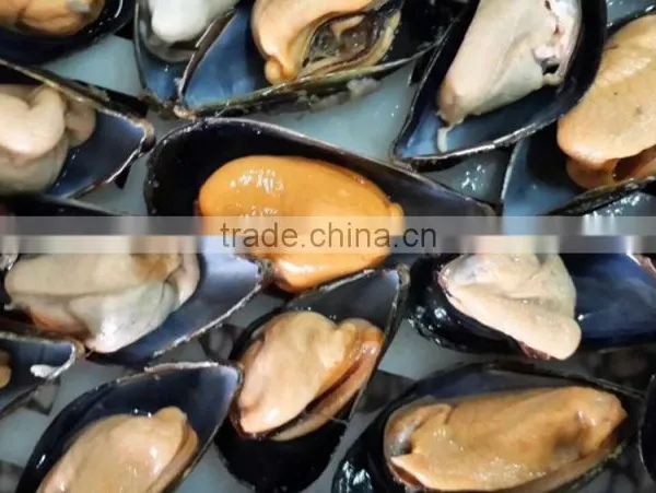 Frozen Mussel Meat With Half Shell photo-2