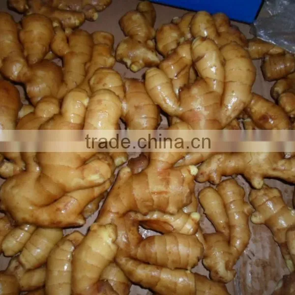 2015 New Fresh and Dried Ginger photo-3