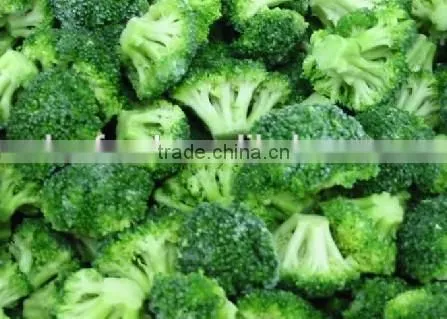 Frozen Brocoli photo-2