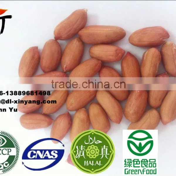 High Quality Red Skin Peanut ,peanuts photo-6