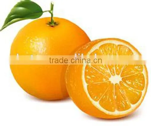 Low Price Hesperidin 90%-98% photo-2