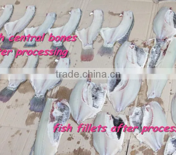 High Quality Low Price Medium Size Fish Salmon Fillet Cut Cutting Machine photo-6